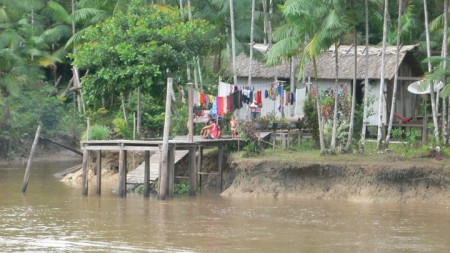 Habitation au bord de l'amazone, débouchant souvent derrière la jungle sur un petit village.