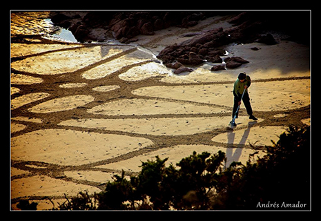 Jersey Beach Art Festival_Andrés Amador Jersey Beach Art Festival