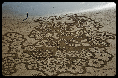 'Flowers I'_by Andrés Amador 'Flowers I'