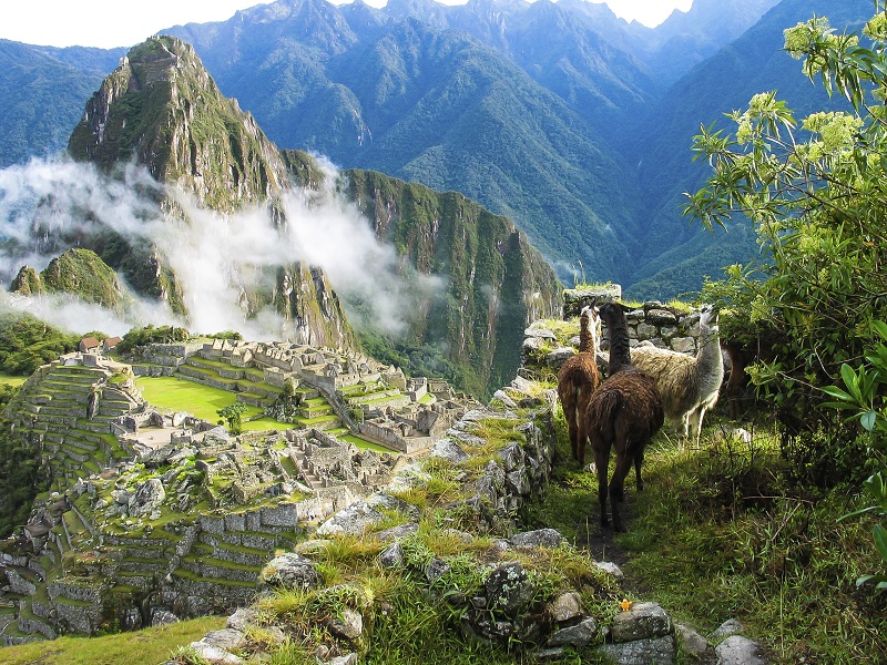 Machu Piccu