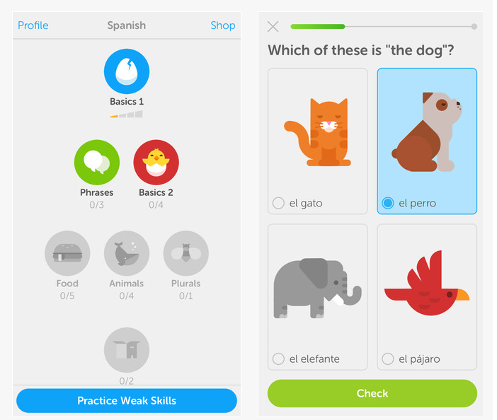 Duolingo