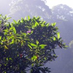 DSCN2280