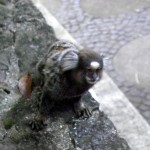 DSCN2516