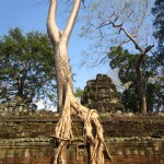 angkor what