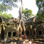 angkor what