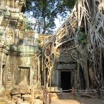 angkor what