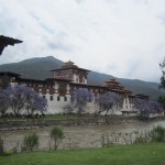 Punakha Dzong