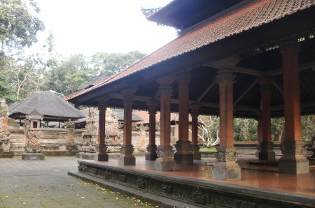 «Monkey forest» in Ubud