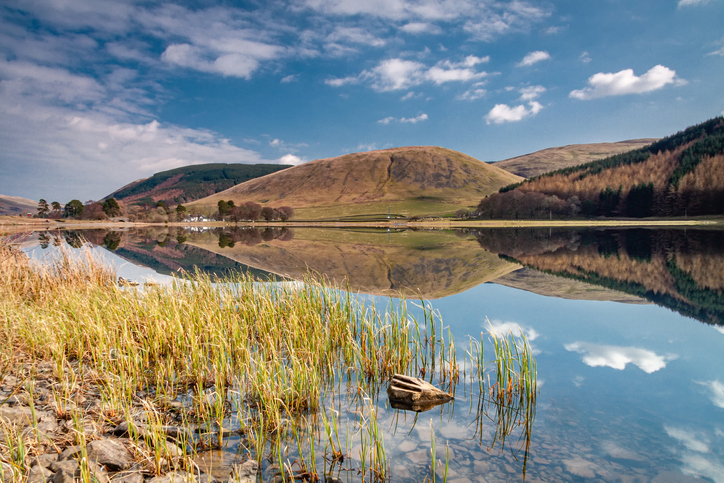 fire gange Uddrag mel 10 of the best nature reserves for seeing wildlife in the UK